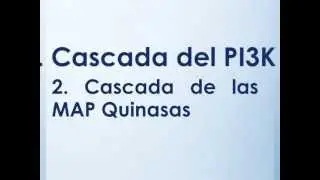 Cascadas de la Insulina. Vía del fosfoinositol-3-quinasa (PI3K)