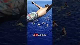 US Navy's Epic Steel Beach Picnics - 5,000 Sailors Jump Off Aircraft Carriers!