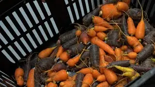 Biodiversity and food production_EN