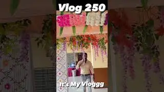 It&rsquo;s My Vlog 250 #shorts #vlog #youtubeshorts