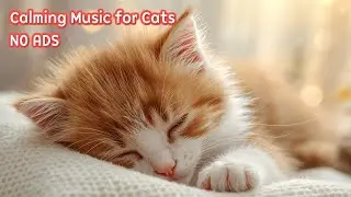 Cat Music Sleep No Ads 🐱 12 Hours Music for Cats to Go to Sleep - Purring Sounds