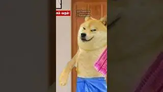 Oru varthai ketka / #songsync #cheemsdoge #shortsfeed #cheems #cheemsmeme