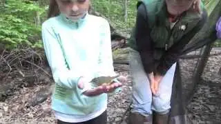 Did You Know? Burke Lake Banding Station