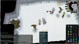PvmersRS Bonus Clip - Duo Arma Hilt