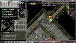Insane UO - Free Ultima Online Shard