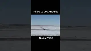 Tokyo to Los Angeles flight time private jet #shorts