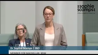 Supporting Member for Curtin & Senator Thorpe's Motion on the potential terror act at Jan 26 rally