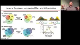 UW-Madison Genetics Colloquium - Mark Meyer | September 13, 2023