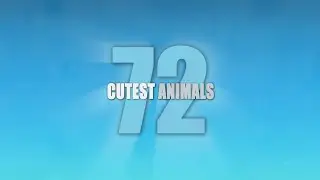 72 Cutest Animals - Trailer