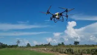 Pesticide spray - Drone Agriculture DJI T40