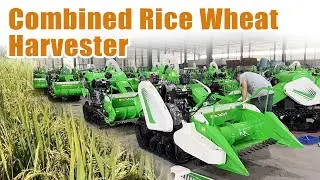Dual-Purpose Rice and Wheat Harvester: One Machine, Multiple Crops #rice #wheat #harvester #farming