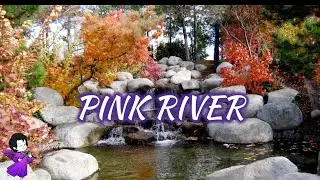 PINK RIVER | SOFT PAD SOUND | REVERB EFFECT | RIVER WATER SOUND | RELAXING | SOOTHING | CALM | SLEEP