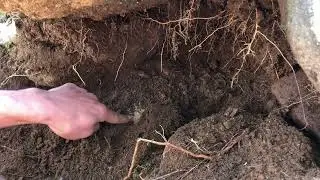 We found a ruins gold made box full of ruins coins 