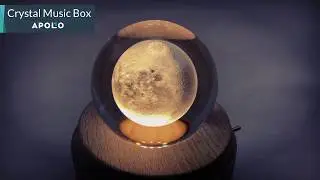 Crystal Ball Music Box From Apollo Box