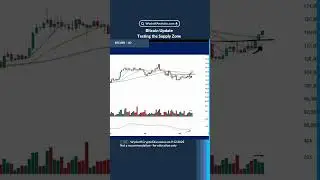 Bitcoin - Testing the Supply Zone