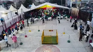 FOIRE CEB PASSAGE PLUS BEAU PLUS BELLE