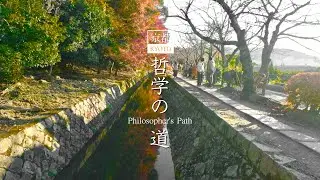 Kyoto Philosopher's Path Strolling. 2025 Autumn