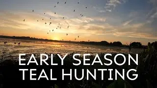TEAL are Here | 2024 Alabama Early Season Hunting