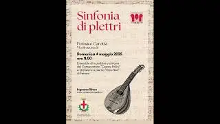 Sinfonia di plettri