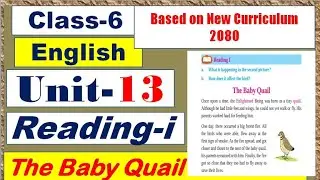 Grade 6 English Unit 13 // Reading i || The Baby Quail