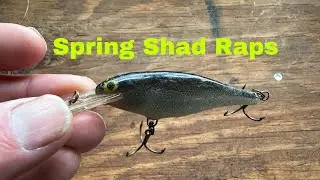 How To Catch Springtime Fish On A Shad Rap