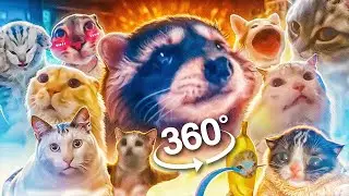 Pedro Pedro Pedro but Meme Cats Sing It 360&deg;