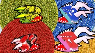 Snake Clash! .io - MAX LEVEL! Epic Snake Clash.io Gameplay! #462