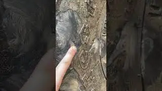 Flat tire offroad 37x12.50 firestone MT sidewall poke