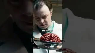 Your Brain vs Einstein&rsquo;s Brain 😲