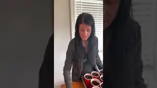 Club420 Sour Diesel Step 2