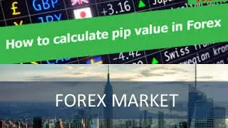 How to Calculate PIPS and PIP Values In FOREX Markets | Proper Risk Management Series