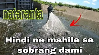 Maliit na lagusan!!ganito karami ang isda/ master ilokano 