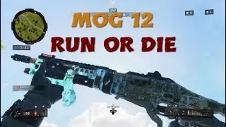Blackout Best Moments with Mog 12