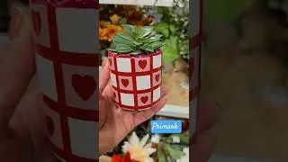 Primark Home Nowości 2026