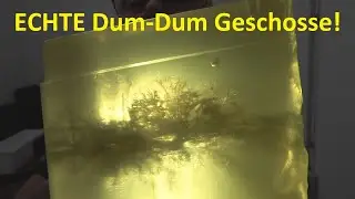 .223 Remington: Was taugen bleifreie Varmint-Geschosse?