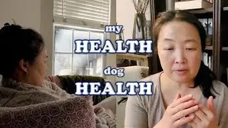 Grief Update - My Health / Dog Health Care Thoughts