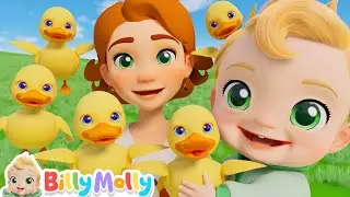 Five Little Ducks | Playtime with Ducks | Billy Molly - Nursery Rhymes