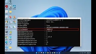 Windows 11 Find Serial Number on Laptop or desktop without Sticker