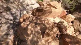WFA Pine Creek Waterfall Trail, Zion National Park, Utah