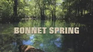 Bonnet Spring (Wes Skiles Peacock Springs State Park) Cave Dive