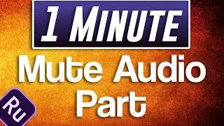 Premiere Rush CC : How to Mute Part of Audio