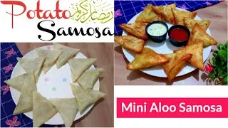 Mini Aloo Ke Samosy|Mini Samosa Recipe|Meals Vlogs
