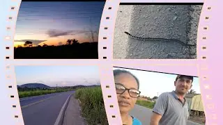 Como cuidar da saúde fazendo caminhada 🚶‍♂️ 🚶‍♂️ 🚶‍♂️ Encontrei uma cobra 