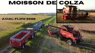 Retour sur la Moisson du Colza/ AXIAL-FLOW 6088