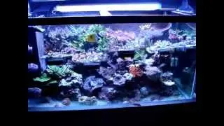 The Frag Rack