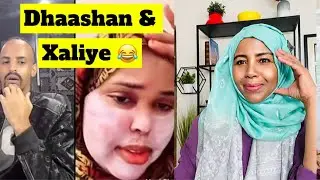 Xaliye Oo Masiibo Qasqas Marsani Heshay. Maanta Laga Bilaabo Heshiis Baan La Ahay Xaliye 😂
