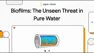 Biofilms: The Unseen Threat in High Purity Water