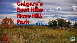 Hiking in Nose Hill Park in 4K | The Beauty of a Prairie Autumn | We saw a Coyote