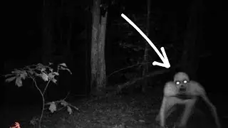 One In A Million: Rare & Scary Animal Moments Caught On Camera