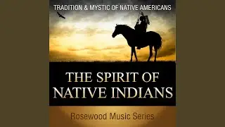 Magic Indian Night